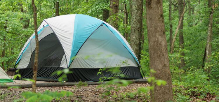 What To Avoid When Cleaning A Tent
