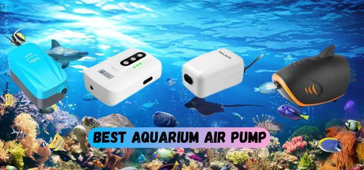 Best Aquarium Air Pump