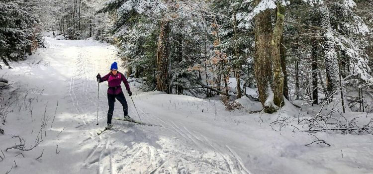 Introduction To Classic And Skate Skiing